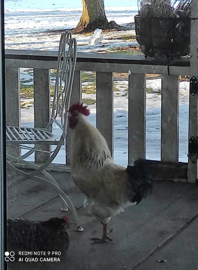 B&B Rando & Kaerdi Juures Oue Lyuganuse Dış mekan fotoğraf
