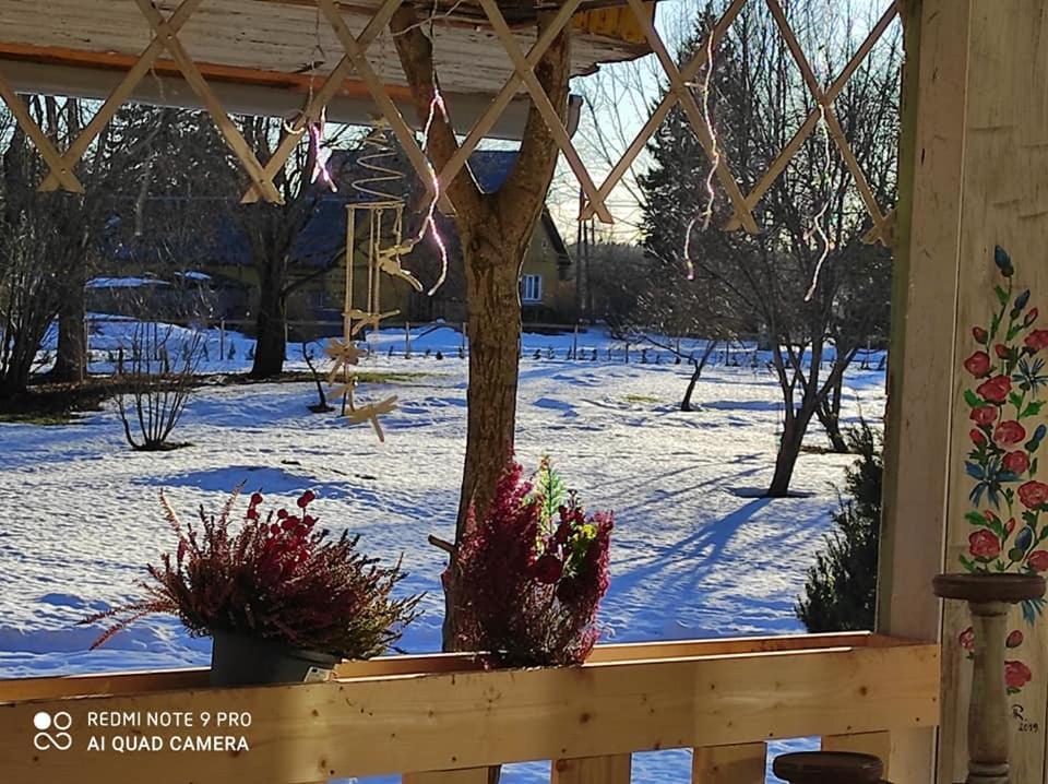 B&B Rando & Kaerdi Juures Oue Lyuganuse Dış mekan fotoğraf