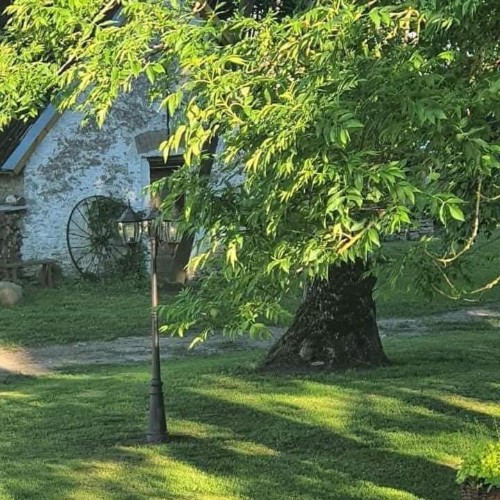 B&B Rando & Kaerdi Juures Oue Lyuganuse Dış mekan fotoğraf