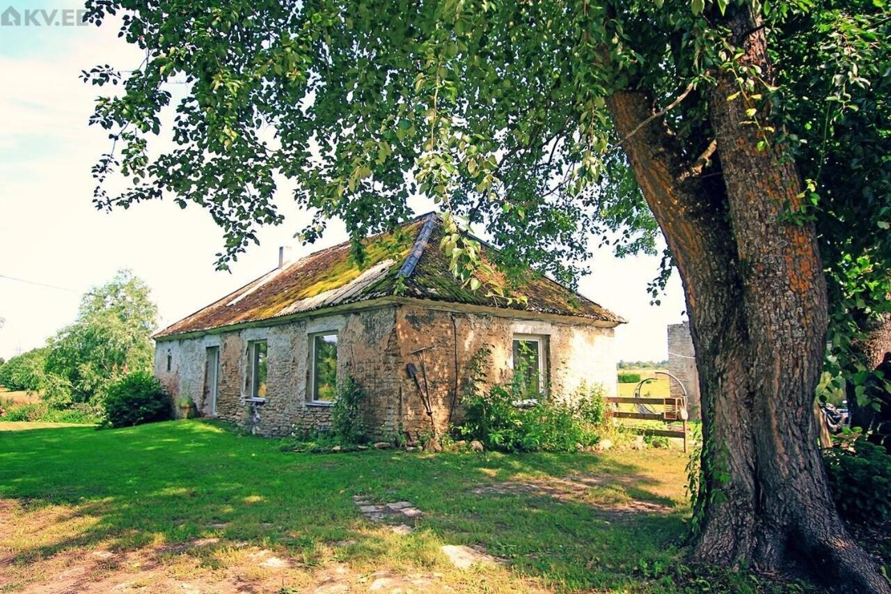 B&B Rando & Kaerdi Juures Oue Lyuganuse Dış mekan fotoğraf